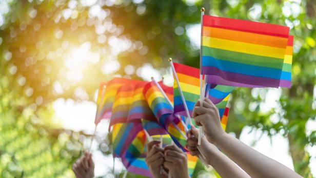 Auch in Wien wird der Pride Month mit vielen Veranstaltungen gefeiert. 