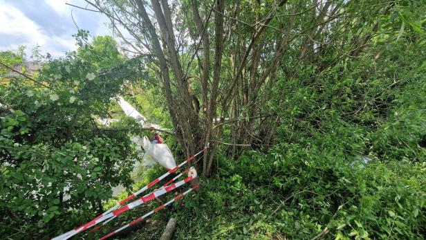 Segelflugzeug in Baum